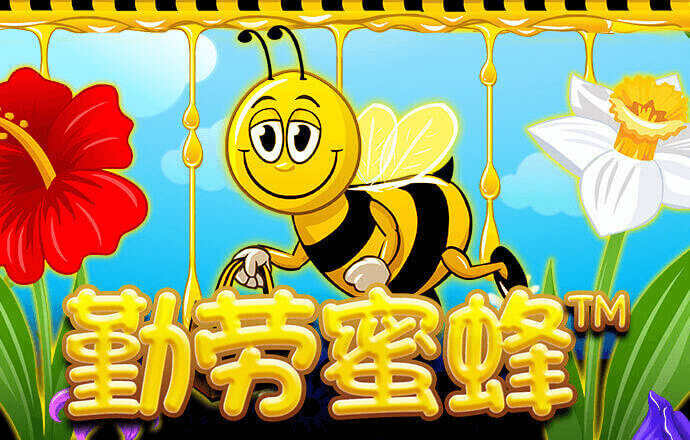 云体育app链接